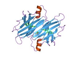 PDB 1tt6 EBI.jpg