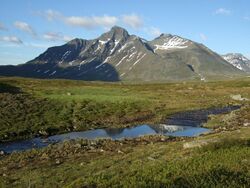 Pierikpakte in Sarek.jpg