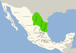 Symphyotrichum carnerosanum distribution map: Mexican states — Coahuila, Nuevo León, and Tamaulipas