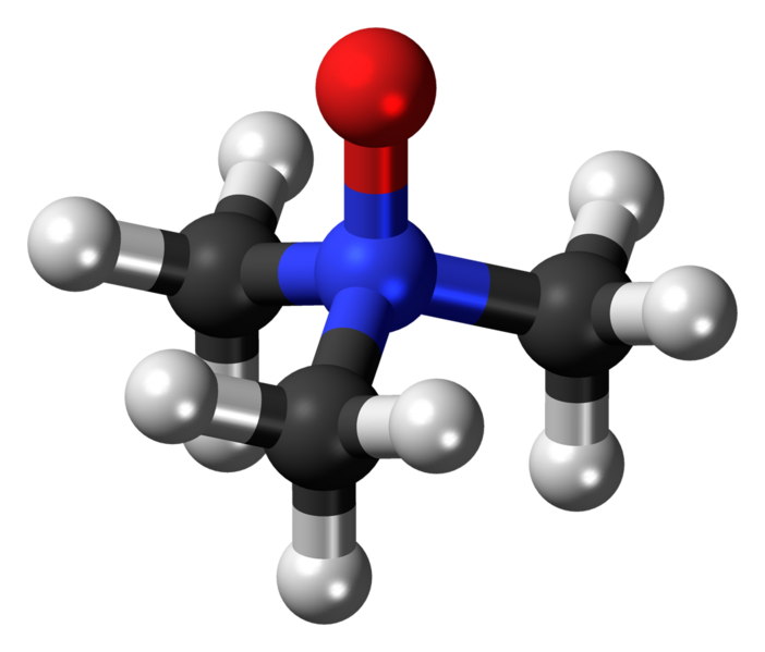 File:Trimethylamine-N-oxide-3D-balls.png