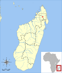Brachytarsomys villosa range map.svg
