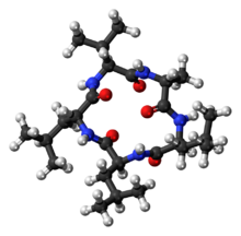 Ball-and-stick model of the chrysosporide molecule