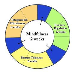 Dialectical Behavior Therapy Cycle EN.jpg