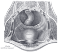Thumbnail for version as of 17:48, 27 July 2023