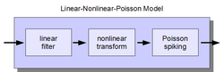 LNPModelDiagram.png