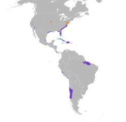Laterallus jamaicensis map.svg
