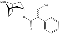 Molecular structure of Atropine.png