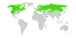 Parnassia palustris distribution maps.svg