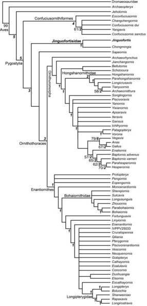Phylogenetic tree from Wang etal PNAS.jpg