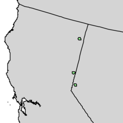 Pinus washoensis range map 2.png