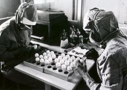 Preparation of measles vaccines.jpg