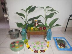 Plants, a pitcher and food items