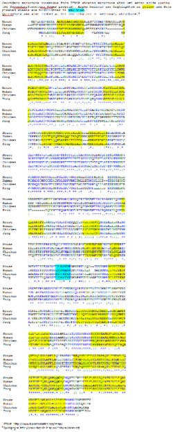 Secondary Structure CCDC135.gif