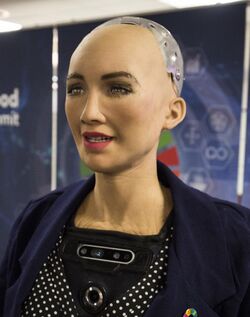 Sophia at the AI for Good Global Summit 2018 (27254369347) (cropped).jpg