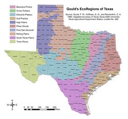 TexasGouldEcoRegion12.jpg