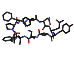 Tyrocidine 3D.png