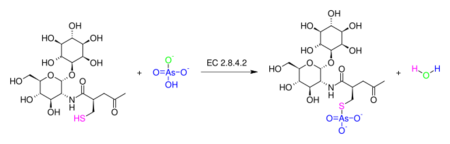 Arsenate-mycothiol transferase.svg