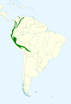 Cinclus leucocephalus map.svg