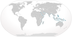 World map with blue coloring all around the periphery of the Indian Ocean from South Africa to northern Australia, and through Southeast Asia including the Philippines and New Guinea