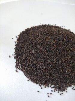 Jakhya seeds