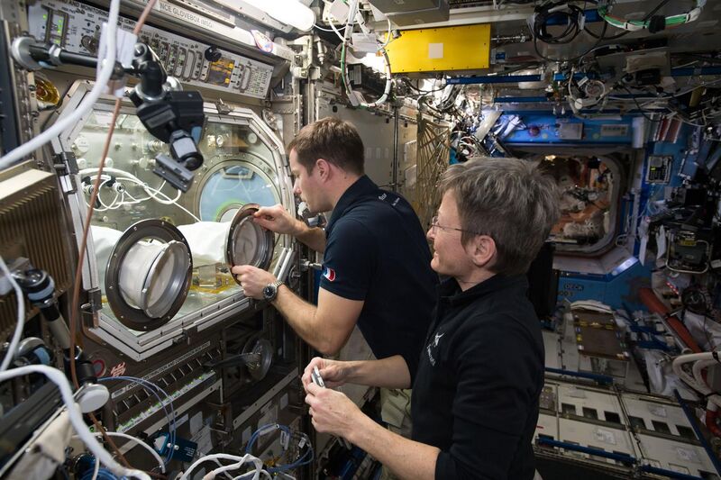 File:ISS-50 Peggy Whitson and Thomas Pesquet with the Microgravity Science Glovebox in the Destiny lab.jpg