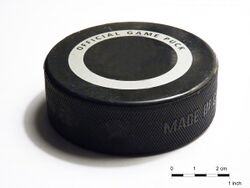 Ice hockey puck - 2.jpg
