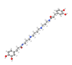 Kukoamines structure 3d.png