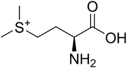 Methylmethionine.png