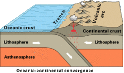 Oceanic-continental convergence Fig21oceancont.gif
