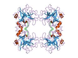 PDB 2bm2 EBI.jpg