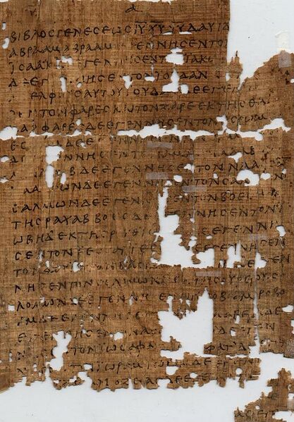 File:Papyrus1.JPG