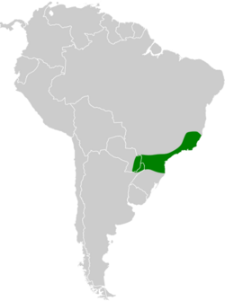 Phylloscartes sylviolus map.svg