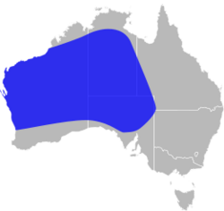 Pygopus nigriceps distribution.svg