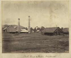 StateLibQld 1 235370 Mill house and stables on the Macnade Sugar Plantation, Ingham, ca. 1881.jpg