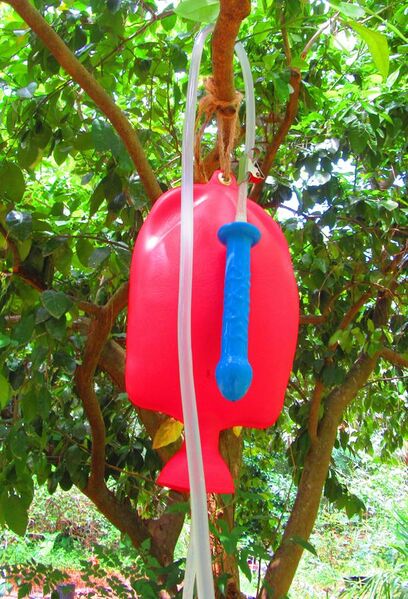 File:5000 ml Enema Bag with Dildo Nozzle Filled Hanging in Tree.jpg
