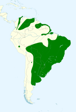 Ammodramus humeralis map.svg