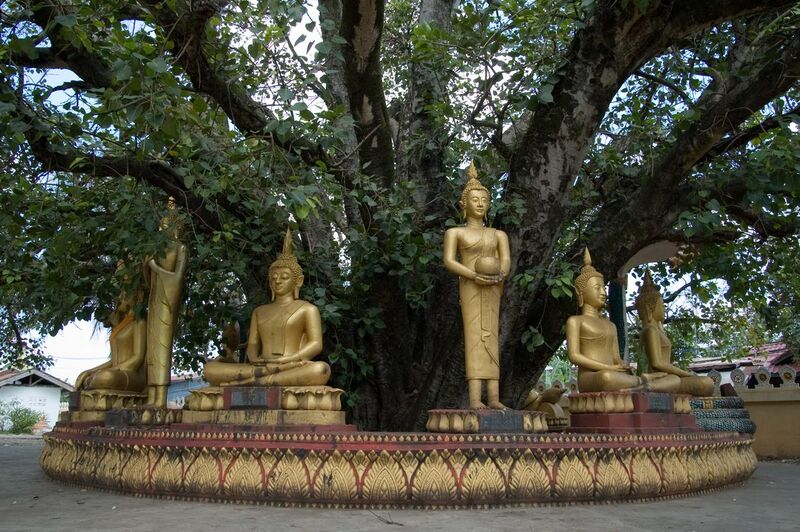 File:Buddha sculptures at That Luang.jpg