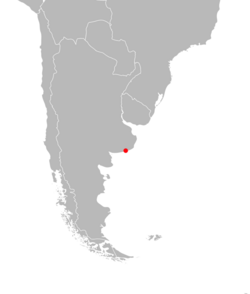 The single known collection site is in coastal eastern Argentina