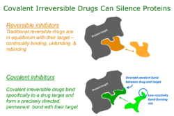 Covalent-drugs-silence-proteins.png