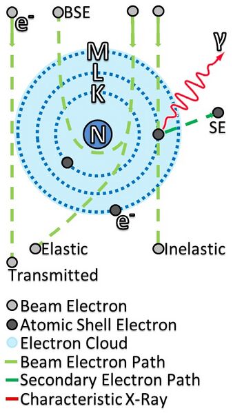 File:Electron-beam interaction and transmission with sample.jpg