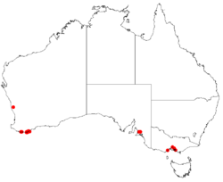 Hakea ellipticaDistMap42.png