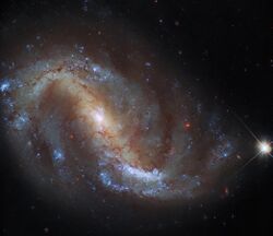 Hubble Goes Galactic Birdwatching (potw2222a).jpg