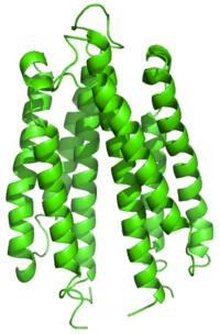 Ligand binding domain aspartate receptor.png