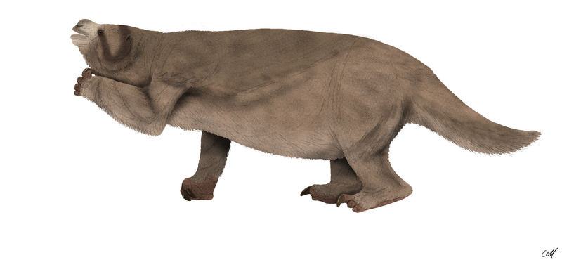 File:Megatherium americanum by sphenaphinae.png
