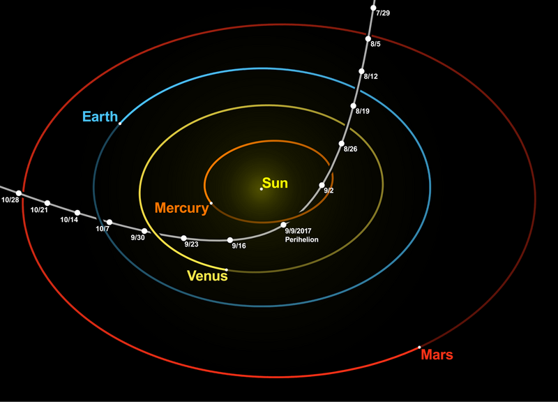 File:Oumuamua orbit at perihelion.png