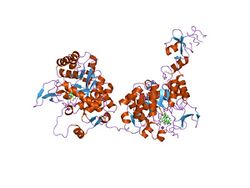 PDB 1jr1 EBI.jpg