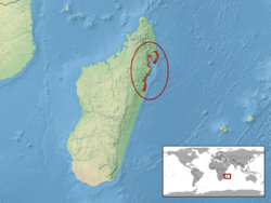 Phelsuma serraticauda distribution.png