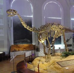 Shunosaurus - Finnish Museum of Natural History.jpg