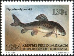 Stamp of Kyrgyzstan 046.jpg