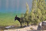 Tajikistan Fan-Mountains - landscape 12.jpg